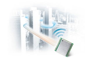 利用鴿子監(jiān)測空氣質(zhì)量與電磁環(huán)境 創(chuàng)新生物監(jiān)測方法